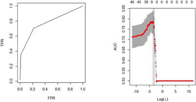 Identifying predictors of stroke in young adults: a machine learning analysis of sex-specific risk factors